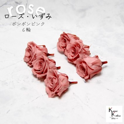 大地農園！プリザーブドフラワー 「ローズいずみ 6輪 ボンボンピンク」プリザ 花材 ハーバリウム おしゃれ かわいい プレゼント 贈り物　オオチノウエン バラ 薔薇 ローズ rose