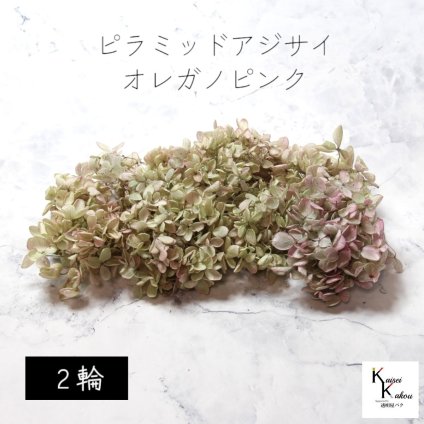 メール便で発送 大地農園！プリザーブドフラワー 「ピラミッドアジサイ・ヘッド（グラデーション） オレガノピンク 2輪分」 プリザ アジサイ 紫陽花 花材 ハーバリウム おしゃれ かわいい プレゼント 贈り物 オオチノウエン ピラミッドアジサイ