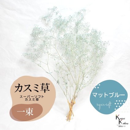 メール便で発送 「大地農園 スーパーソフトミニカスミ草 マットブルー 1束 」 ドライフラワー 花材 ハーバリウム 素材 小さいお花 アレンジメント ギフト 母の日 お誕生日 オオチノウエン プリザーブドフラワー プリザーブド プリザ かすみそう カスミ ハンドメイド