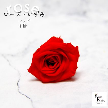 大地農園！プリザーブドフラワー 「ローズいずみ 1輪 レッド」プリザ 花材 ハーバリウム おしゃれ かわいい プレゼント 贈り物　オオチノウエン バラ 薔薇 ローズ rose