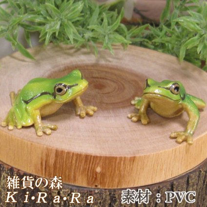 動物　置物 リアル　ミニチュア　カエルの置物　アマガエル　２点セット　カメ　　アニマルオブジェ　ガーデン　オーナメント　店舗　カウンター　装飾　オブジェ　インテリア　玄関先　庭　　亀好きさん人気ギフト　動物人気ギフト　クリスマスプレゼント　お誕生日祝い　母の日人気　父の日人気　敬老の日人気