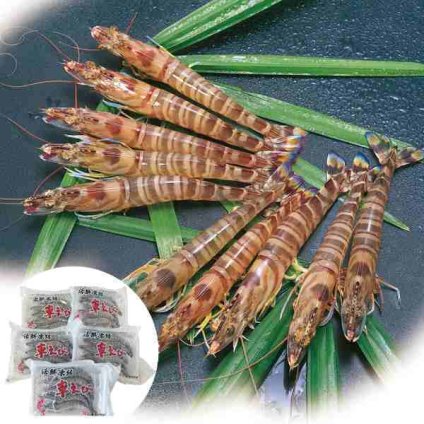 極上 活き〆 冷凍 車海老 熊本 沖縄産 25尾 500g 5パック 小分け 活鮮凍結 生食 お刺身用 車えび 車エビ 急速冷凍 海鮮 ギフト プレゼント 贈り物 贈答 御歳暮 御中元 敬老の日 御祝 熨斗対応 高級 グルメ