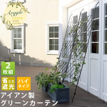 アイアンフェンス アイアン製グリーン アーガイル 2枚組 フェンス アイアン グリーンフェンス ゴーヤ 薔薇 バラ 朝顔 庭 ベランダ ガーデニング 枠 柵 仕切り 目隠し 境目 アンティーク トレリス 園芸 ラティス 屋外 ガーデンフェンス 庭用品 新生活