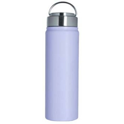 【ギフト対応無料】ステンレス ボトル 700ml パープル (LB-1682) ※送料無料(北海道・沖縄は除く)