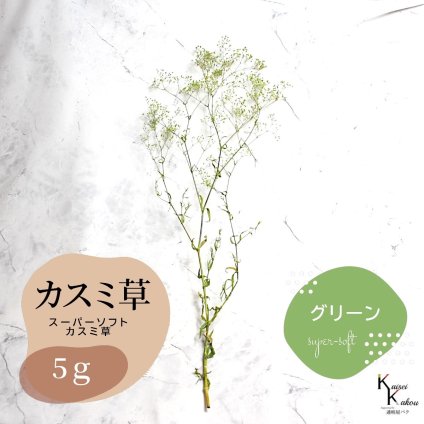 「大地農園 スーパーソフトミニカスミ草 グリーン 5g 」 ドライフラワー 花材 ハーバリウム 素材 小さいお花 アレンジメント ギフト 母の日 お誕生日 オオチノウエン プリザーブドフラワー プリザーブド プリザ かすみそう カスミ ハンドメイド