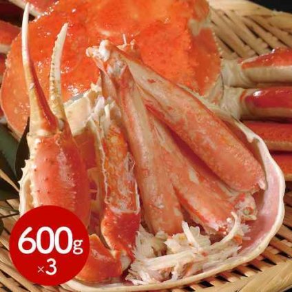 ボイル ずわいがに 姿 600g×3杯 カナダ産 厳選 濃厚な甘み プリプリ食感 贅沢 海鮮 ギフト