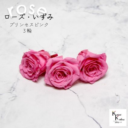 大地農園！プリザーブドフラワー 「ローズいずみ 3輪 プリンセスピンク」プリザ 花材 ハーバリウム おしゃれ かわいい プレゼント 贈り物　オオチノウエン バラ 薔薇 ローズ rose