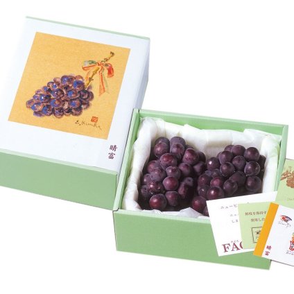 ニューピオーネ【秀逸】2房（約1.2kg）【送料無料】_GM227-210__フルーツ/果物/お中元
