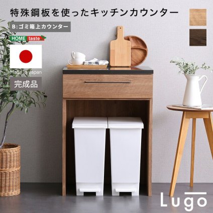 キッチンカウンター ゴミ箱収納 日本製 特殊鋼板を使った 【Lugo-ルゴ-】ゴミ箱上カウンター 60cm：