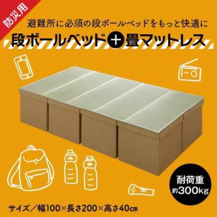 防災 避難 備え ユニット 畳 ベッド 段ボール シングル 約100×200cm 5連