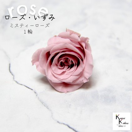 大地農園！プリザーブドフラワー 「ローズいずみ 1輪 ミスティーローズ」プリザ 花材 ハーバリウム おしゃれ かわいい プレゼント 贈り物　オオチノウエン バラ 薔薇 ローズ rose