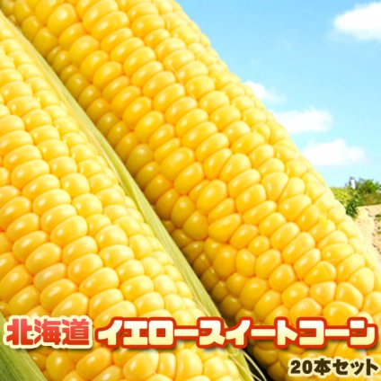 イエロースイートコーン 北海道 とうもろこし 20本入 送料無料 ※沖縄は送料別途加算