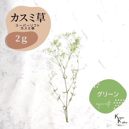 「大地農園 スーパーソフトミニカスミ草 グリーン 2g 」 ドライフラワー 花材 ハーバリウム 素材 小さいお花 アレンジメント ギフト 母の日 お誕生日 オオチノウエン プリザーブドフラワー プリザーブド プリザ かすみそう カスミ ハンドメイド