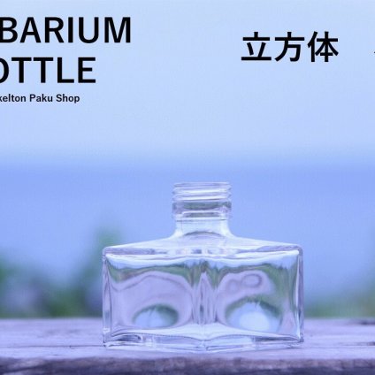 キャップ付 ハーバリウム ボトル 瓶「立方体小　10本セット　プラ製クリア」ガラス瓶  透明瓶 花材 ウエディング プリザーブドフラワー インスタ SNS ボトルフラワー オイル ハーバリウム用 透明ボトル ハーバリウムボトル おしゃれ かわいい インテリア クリア