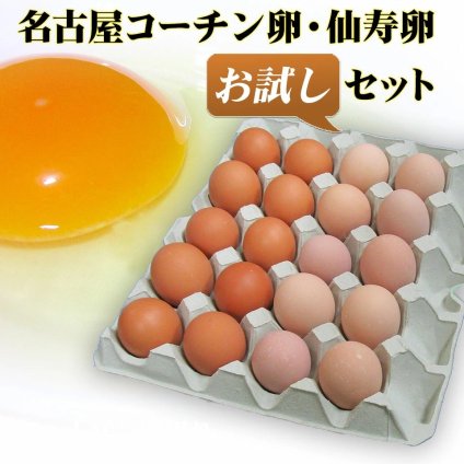 名古屋コーチン卵仙寿卵お試しセット（破損保証2個を含む）【送料無料（北海道・沖縄を除く）】