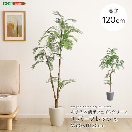 お手入れ簡単 フェイクグリーン エバーフレッシュ Sサイズ(120cm) 新築祝い 開店祝い