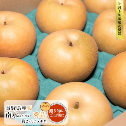 長野県産 梨 南水 秀品 贈答用 果物 フルーツ お取り寄せ 産地直送 【送料無料(一部地域除く)】
