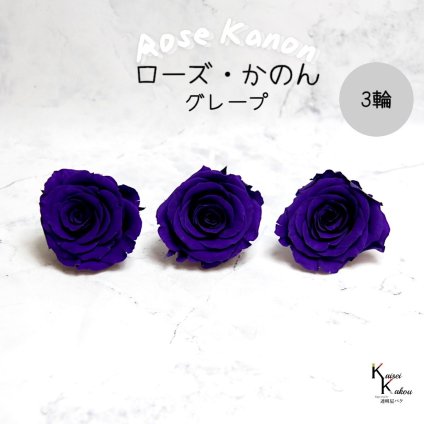 大地農園！プリザーブドフラワー 「ローズかのんL グレープ 3輪」プリザ 花材 ハーバリウム おしゃれ かわいい プレゼント 贈り物　オオチノウエン