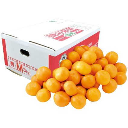 送料無料 お歳暮 大村農園 熊本県産 天水みかん約3kg   ※11/2以降の出荷予定となります。北海道・沖縄・離島は配達不可 全国送料無料 御歳暮 早割 お歳暮2026 御挨拶 お取り寄せ グルメ スイーツ