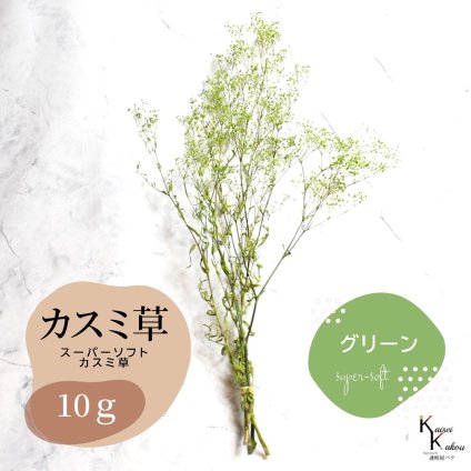 「大地農園 スーパーソフトミニカスミ草 グリーン 10g 」 ドライフラワー 花材 ハーバリウム 素材 小さいお花 アレンジメント ギフト 母の日 お誕生日 オオチノウエン プリザーブドフラワー プリザーブド プリザ かすみそう カスミ ハンドメイド