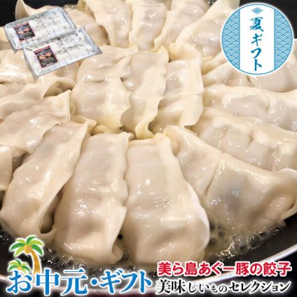  お中元 美ら島あぐー豚 の 餃子 20個入 400g×2パック ※冷凍 美ら島あぐー豚100％使用した"生餃子"！野菜もすべて国産｜ お取り寄せ グルメ 贈物 御中元 201z11456