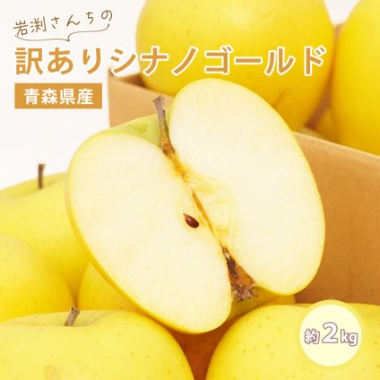 【11月下旬頃発送予定】 ＼岩渕さんちの／ 青森県産 訳あり シナノゴール ご家庭用 約2kg 林檎 りんご リンゴ 訳アリ 家庭用 青森 青森産