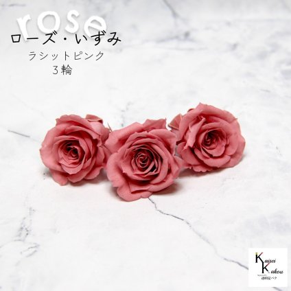 大地農園！プリザーブドフラワー 「ローズいずみ 3輪 ラシットピンク」プリザ 花材 ハーバリウム おしゃれ かわいい プレゼント 贈り物　オオチノウエン バラ 薔薇 ローズ rose
