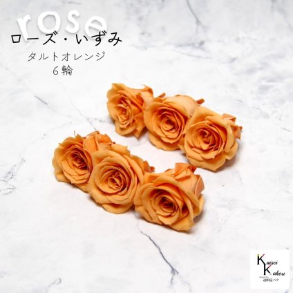 大地農園！プリザーブドフラワー 「ローズいずみ 6輪 タルトオレンジ」プリザ 花材 ハーバリウム おしゃれ かわいい プレゼント 贈り物　オオチノウエン バラ 薔薇 ローズ rose