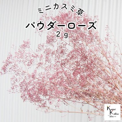 大地農園！プリザーブドフラワー「ミニカスミ草 パウダーローズ 2g」プリザ カスミ草 カスミソウ 花材 ハーバリウム おしゃれ かわいい プレゼント 贈り物 オオチノウエン