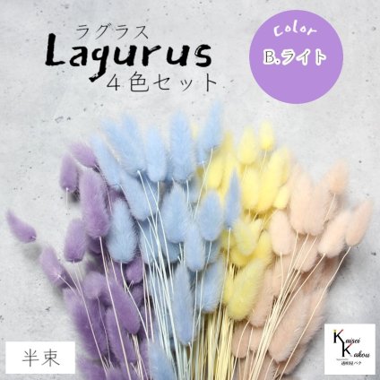 大地農園！プリザーブドフラワー 「ラグラス 半束×4色 ライトカラー（エンジェルパープル・クリーム・ラベンダー・ピンクベージュ）」プリザ 花材 ハーバリウム おしゃれ かわいい プレゼント 贈り物　オオチノウエン