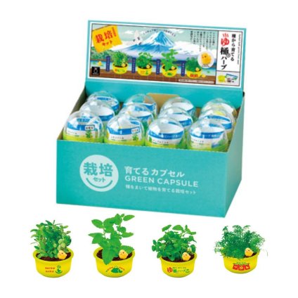 【24個セット】育てるカプセル ゆ桶でハーブ栽培 ハーブ栽培セット　育てるギフト  植物 プチギフト　家庭菜園 日本製 初心者　カモミール ペパーミント  レモンバーム アップルミント 粗品　ノベルティ ガーデニング 癒グッズ コンパクトキット