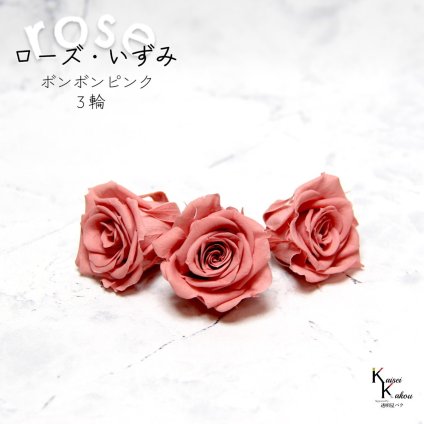 大地農園！プリザーブドフラワー 「ローズいずみ 3輪 ボンボンピンク」プリザ 花材 ハーバリウム おしゃれ かわいい プレゼント 贈り物　オオチノウエン バラ 薔薇 ローズ rose