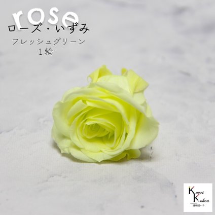 大地農園！プリザーブドフラワー 「ローズいずみ 1輪 フレッシュグリーン」プリザ 花材 ハーバリウム おしゃれ かわいい プレゼント 贈り物　オオチノウエン バラ 薔薇 ローズ rose