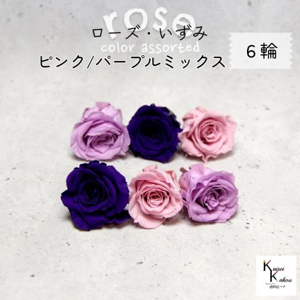 大地農園！プリザーブドフラワー 「ローズいずみ カラーアソート ピンクパープルミックス 2輪ずつ6輪」 「クリスタルピンク スウィートライラック グレープ 2輪ずつ6輪」 プリザ 花材 ハーバリウム オオチノウエン バラ 薔薇 ローズ rose