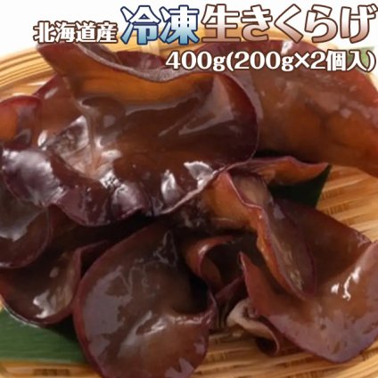 北海道産 冷凍生きくらげ 蝦夷ぷる美人 400g(200g×2個入) 菌床栽培・無農薬 ぷりぷり肉質生キクラゲ 木耳 きのこ キノコ 送料無料 ※沖縄は送料別途加算