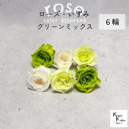 大地農園！プリザーブドフラワー 「ローズいずみ カラーアソート グリーンミックス 2輪ずつ6輪」 「ライトグリーン フレッシュグリーン アンティックホワイト 2輪ずつ6輪」 プリザ 花材 ハーバリウム オオチノウエン バラ 薔薇 ローズ rose