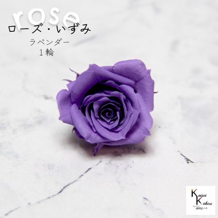 大地農園！プリザーブドフラワー 「ローズいずみ 1輪 ラベンダー」プリザ 花材 ハーバリウム おしゃれ かわいい プレゼント 贈り物　オオチノウエン バラ 薔薇 ローズ rose