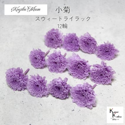 大地農園「小菊 スウィートライラック 12輪」プリザーブドフラワー　プリザ　ハーバリウム　小花 ドライフラワー ハーバリウム アロマワックスバー