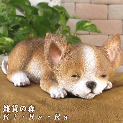 犬　置物 リアル　ウトウト・ねむねむ　チワワ　いぬ　動物オブジェ　ガーデン　オーナメント　店舗　カウンター　装飾　オブジェ　インテリア　玄関先　庭　犬好きさん人気ギフト　動物人気ギフト　クリスマスプレゼント　お誕生日祝い　母の日人気　父の日人気　敬老の日人気
