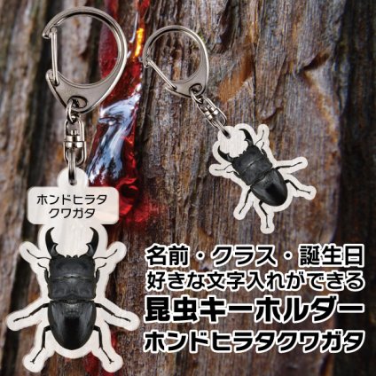 ゆうパケット発送 名入れ文字入れOK 昆虫キーホルダー ホンドヒラタクワガタ 名入れ お酒 ギフト プレゼント 誕生日 結婚祝い 結婚記念日 出産祝い 還暦祝い 男性 女性 父の日 敬老の日 ＊他の商品はこちら→