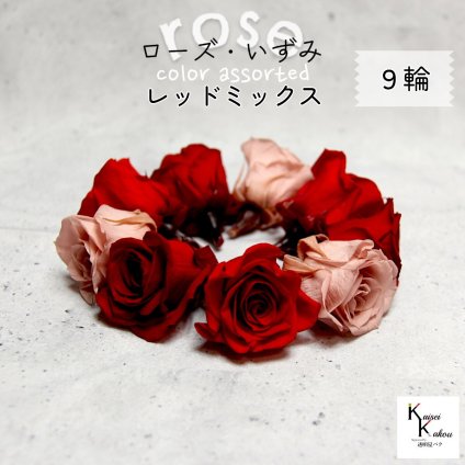 大地農園！プリザーブドフラワー 「ローズいずみ カラーアソート レッドミックス 3輪ずつ9輪」 「ワインレッド クイーンレッド モーヴピンク 3輪ずつ9輪」 プリザ 花材 ハーバリウム オオチノウエン バラ 薔薇 ローズ rose