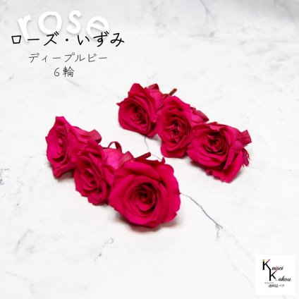 大地農園！プリザーブドフラワー 「ローズいずみ 6輪 ディープルビー」プリザ 花材 ハーバリウム おしゃれ かわいい プレゼント 贈り物　オオチノウエン バラ 薔薇 ローズ rose