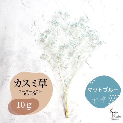 「大地農園 スーパーソフトミニカスミ草 マットブルー 10g」 ドライフラワー 花材 ハーバリウム 素材 小さいお花 アレンジメント ギフト 母の日 お誕生日 オオチノウエン プリザーブドフラワー プリザーブド プリザ かすみそう カスミ ハンドメイド