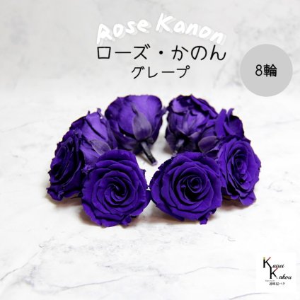 大地農園！プリザーブドフラワー 「ローズかのんL グレープ 8輪」プリザ 花材 ハーバリウム おしゃれ かわいい プレゼント 贈り物　オオチノウエン