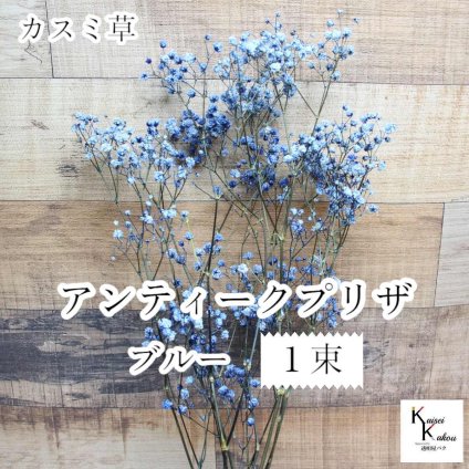 大地農園！プリザーブドフラワー 「アンティークプリザ・カスミ草 1束 ブルー」プリザ カスミ草 カスミソウ 花材 ハーバリウム おしゃれ かわいい プレゼント 贈り物　オオチノウエン