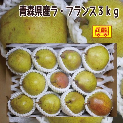 青森県産　洋梨ラ・フランス　ご家庭用　普通サイズ（M～2L）　7～15玉　3ｋｇ　送料無料