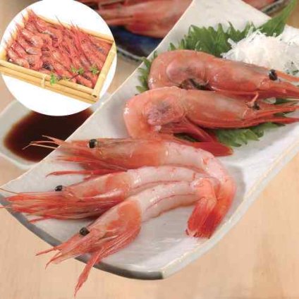 日本海 甘えび 500g (23-30尾) 兵庫県産 鮮度抜群 とろける甘さ 刺身用 急速冷凍