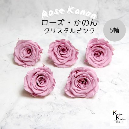 大地農園！プリザーブドフラワー 「ローズかのんL クリスタルピンク 5輪」プリザ 花材 ハーバリウム おしゃれ かわいい プレゼント 贈り物　オオチノウエン