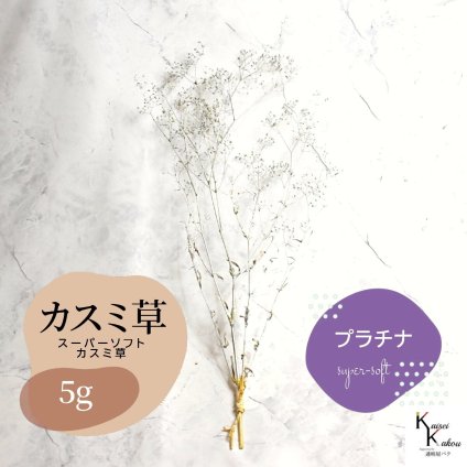 「大地農園 スーパーソフトミニカスミ草 プラチナ 5g 」 ドライフラワー 花材 ハーバリウム 素材 小さいお花 アレンジメント ギフト 母の日 お誕生日 オオチノウエン プリザーブドフラワー プリザーブド プリザ かすみそう カスミ ハンドメイド