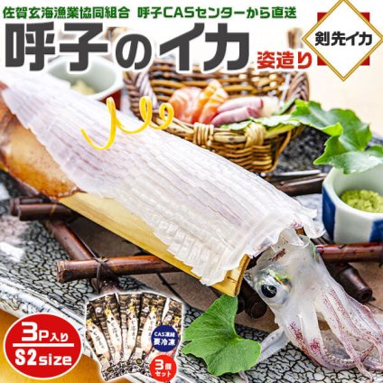 旅サラダ TVで紹介／ 呼子のイカ｜呼子 剣先いか姿造り（S2サイズ）× 合計3P | 約150～199g（1個あたり） CAS凍結 高級 剣先いか イカそーめん お刺身 天ぷらでも 姿造り 呼子漁港直送
